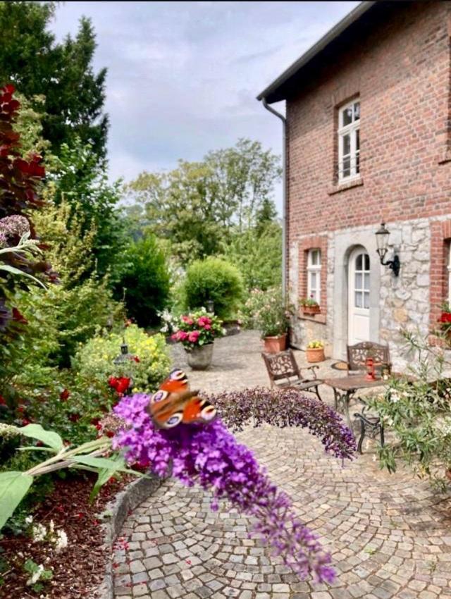 Haus Bergstrasse Appartement Stolberg  Buitenkant foto